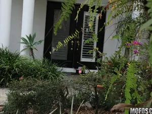 Pervs On Patrol - My One Of Many Valentine - 02/17/2011
