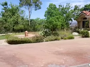 Drone Hunter - Poolside Banging - 11/28/2014
