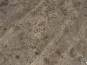 Drone Hunter - Poolside Banging - 11/28/2014