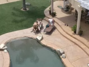 Drone Hunter - Poolside Banging - 11/28/2014