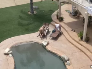 Drone Hunter - Poolside Banging - 11/28/2014