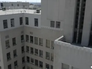 Drone Hunter - Fucking Raven on the Roof - 01/08/2015