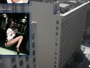 Drone Hunter - Fucking Raven on the Roof - 01/08/2015