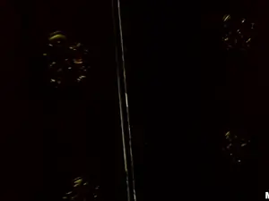Drone Hunter - Fucking Raven on the Roof - 01/08/2015