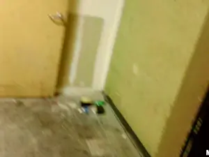 Drone Hunter - Fucking Raven on the Roof - 01/08/2015