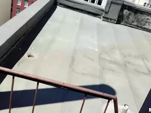Drone Hunter - Fucking Raven on the Roof - 01/08/2015
