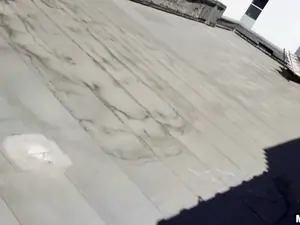 Drone Hunter - Fucking Raven on the Roof - 01/08/2015