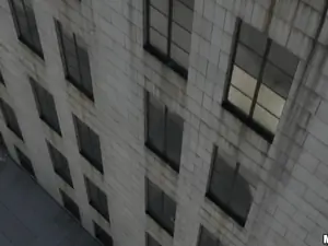 Drone Hunter - Fucking Raven on the Roof - 01/08/2015