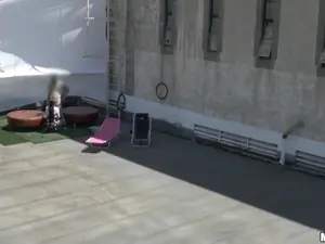 Drone Hunter - Fucking Raven on the Roof - 01/08/2015