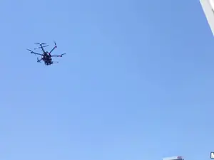 Drone Hunter - Fucking Raven on the Roof - 01/08/2015