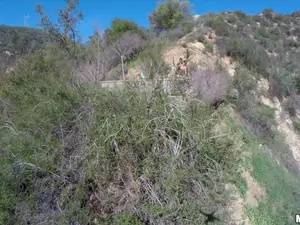 Drone Hunter - Spying on an Outdoor Public Fuck - 04/23/2015