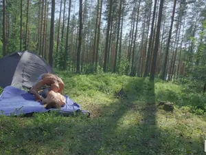 I Know That Girl - Camping with Mia - 09/04/2019