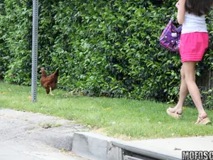 Pervs On Patrol - Stalking A Whore - 06/16/2011