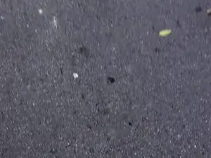 Public Pickups - Naughty Tourist Sucks Dick for Cash - 12/21/2016