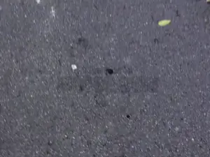 Public Pickups - Naughty Tourist Sucks Dick for Cash - 12/21/2016