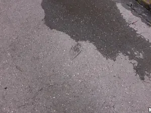 Public Pickups - Naughty Tourist Sucks Dick for Cash - 12/21/2016