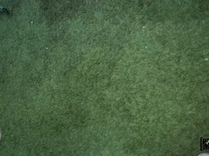 He's Got Rizz - Sex-scape Room - 04/27/2025