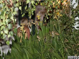Pervs On Patrol - Playful Surprise - 11/17/2011