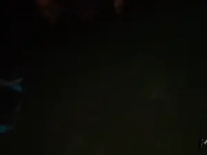 He's Got Rizz - The Concert - 06/11/2025