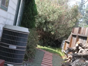 Pervs On Patrol - House Sitting Spy - 02/02/2012