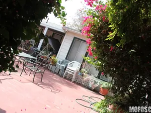 Pervs On Patrol - House Sitting Spy - 02/02/2012