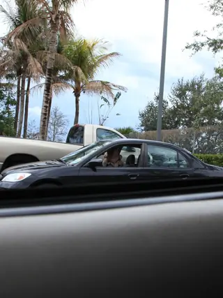 Pervs On Patrol - She Isn't a Prostitute? - 04/21/2011