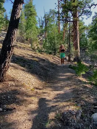 Pervs On Patrol - Health and Fit'ness Dick in Her Mouth - 12/28/2020